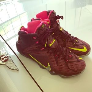 Lebron James Shoes